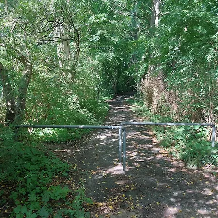 Travemünde Ruheoase Mit Pool Sauna Parkplatz *